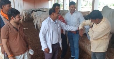 सिद्धार्थनगर के धनगढ़िया गो संरक्षण केंद्र में लम्पी स्किन डिजीज से बचाव के लिए गोवंशीय पशुओं का टीकाकरण