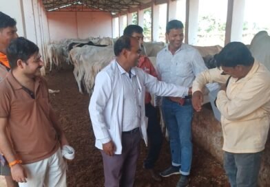 सिद्धार्थनगर के धनगढ़िया गो संरक्षण केंद्र में लम्पी स्किन डिजीज से बचाव के लिए गोवंशीय पशुओं का टीकाकरण